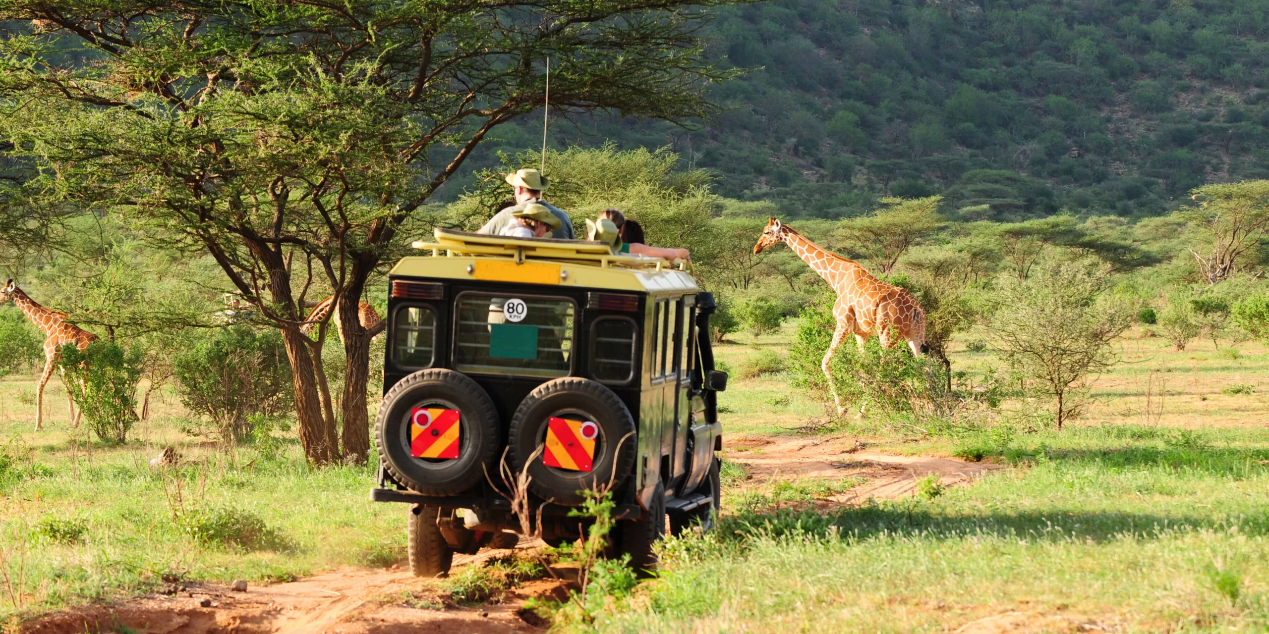 Un safari à faire dans une réserve incontournable du Kenya